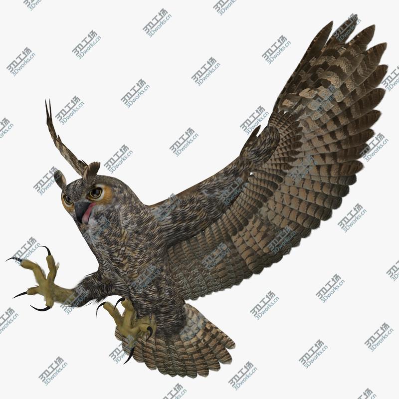 images/goods_img/202105073/Bubo Virginianus 'Great Horned Owl'/1.jpg